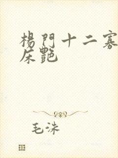 杨门十二寡妇肉床艳