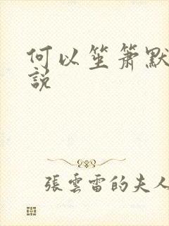 何以笙箫默 小说