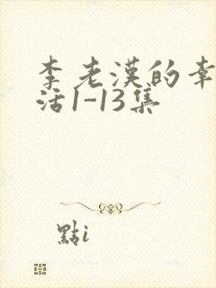 李老汉的幸福生活1-13集