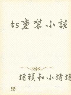 ts变装小说