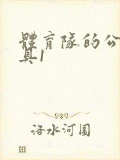 体育队的公用玩具1