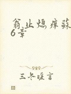 翁止熄痒苏玥第6章