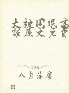 大被同眠高粱小说原文免费阅读