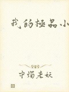 我的极品小姨