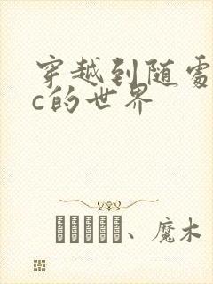 穿越到随处可以c的世界