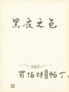 黑夜之色封面