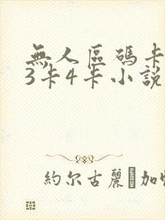 无人区码卡二卡3卡4卡小说