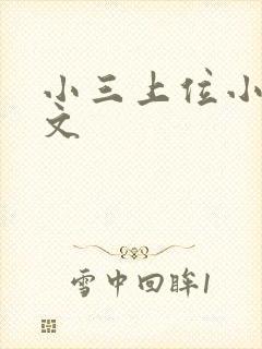 小三上位小说全文