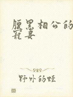 腹黑相公的庶女宠妻