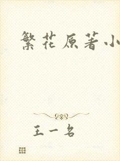 繁花原著小说