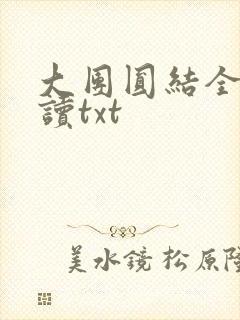 大团圆结全文阅读txt