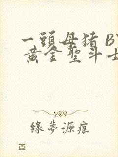 一头母猪 BY 黄金圣斗士