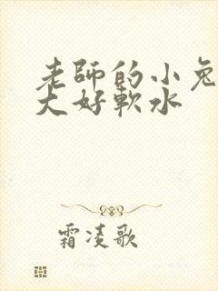老师的小兔子好大好软水