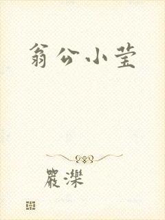 翁公小莹