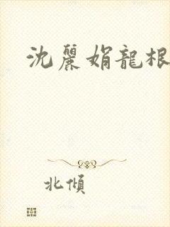 沈丽娟龙根封面