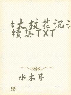 t大校花沉浮录续集TXT