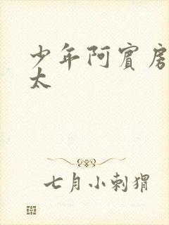 少年阿宾房东太太