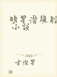 明星潜规则之皇 小说