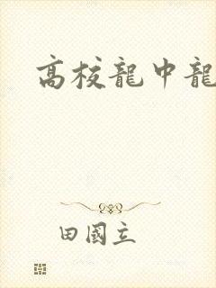 高校龙中龙