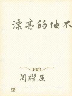 漂亮的他不说话