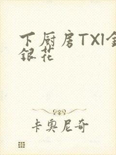 下厨房TXl金银花