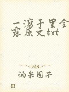 一泻千里金银花露原文txt