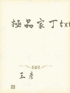 极品家丁txt