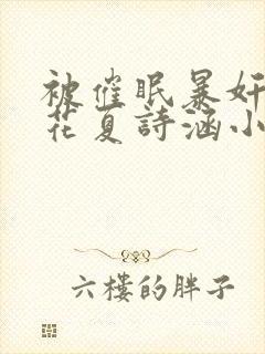 被催眠暴奸的校花夏诗涵小说