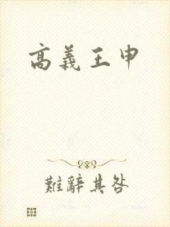 《高义王申》小说封面