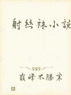 射丝袜小说