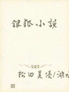 银狐小说
