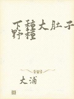 下种大肚子怀孕野种