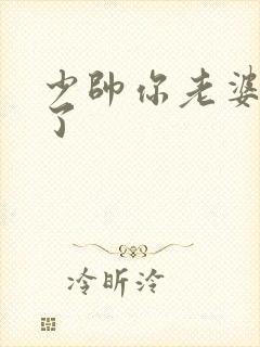 少帅你老婆又跑了