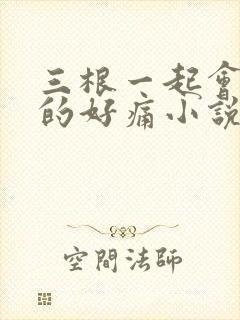 三根一起会坏掉的好痛小说