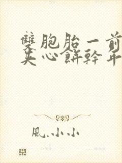 双胞胎一前一后夹心饼干年下