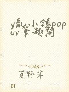 y乱小镇popuv笔趣阁