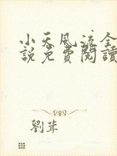 小天风流全集小说免费阅读
