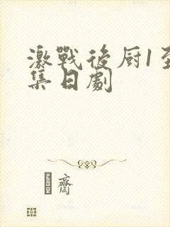 激战后厨1至5集日剧