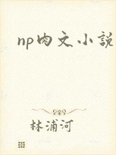 np肉文小说