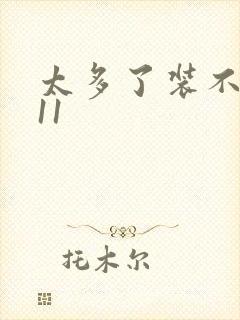 太多了装不下H11