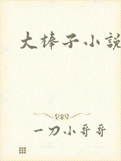 大棒子小说