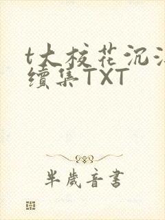 t大校花沉浮录续集TXT