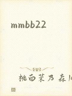 mmbb22