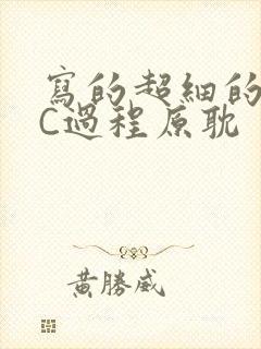 写的超细的多肉C过程原耽