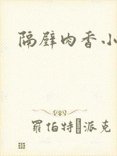 隔壁肉香小说