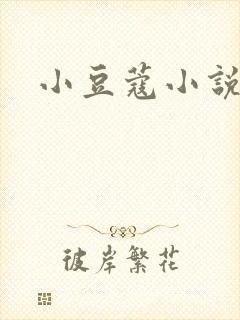 小豆蔻小说