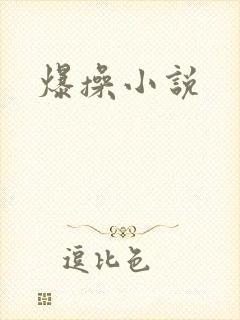 爆操小说