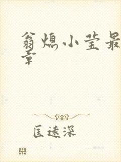 翁熄小莹最新节章