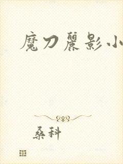 魔刀丽影小说