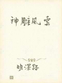 神雕风云